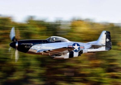 P-51 Mustang Quicksilver | Scott Yoak