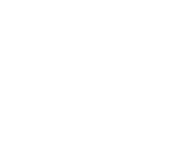 Branson - Wings of Pride - Air Show